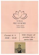 Yoga pro seniory